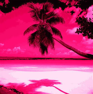 Meet your Posher, Maya